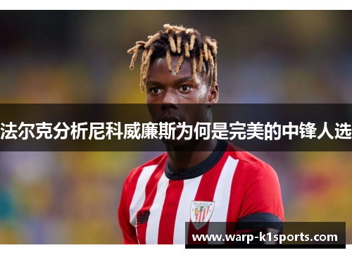 法尔克分析尼科威廉斯为何是完美的中锋人选