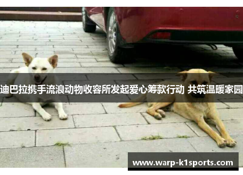 迪巴拉携手流浪动物收容所发起爱心筹款行动 共筑温暖家园