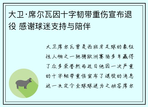 大卫·席尔瓦因十字韧带重伤宣布退役 感谢球迷支持与陪伴